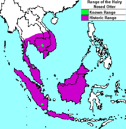 Distribution of Lutra sumatrana